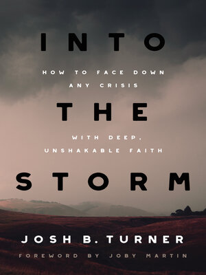 cover image of Into the Storm